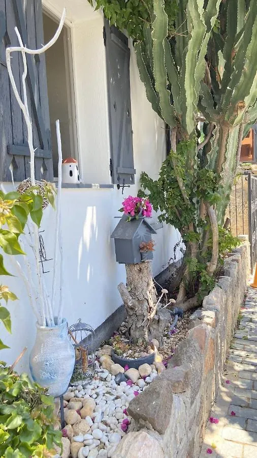 Casa Tua Butik Otel Bodrum 0*,  Türkiye